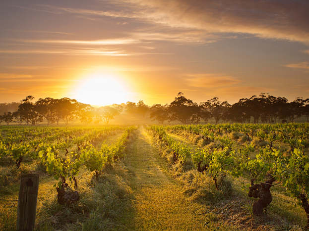 south-australia-7.jpg